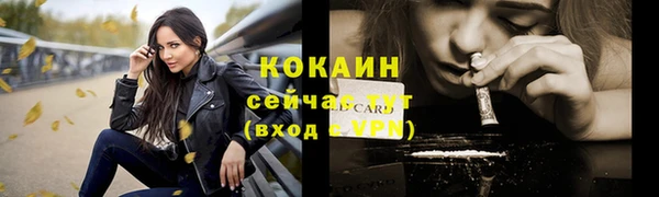 ПСИЛОЦИБИНОВЫЕ ГРИБЫ Коряжма